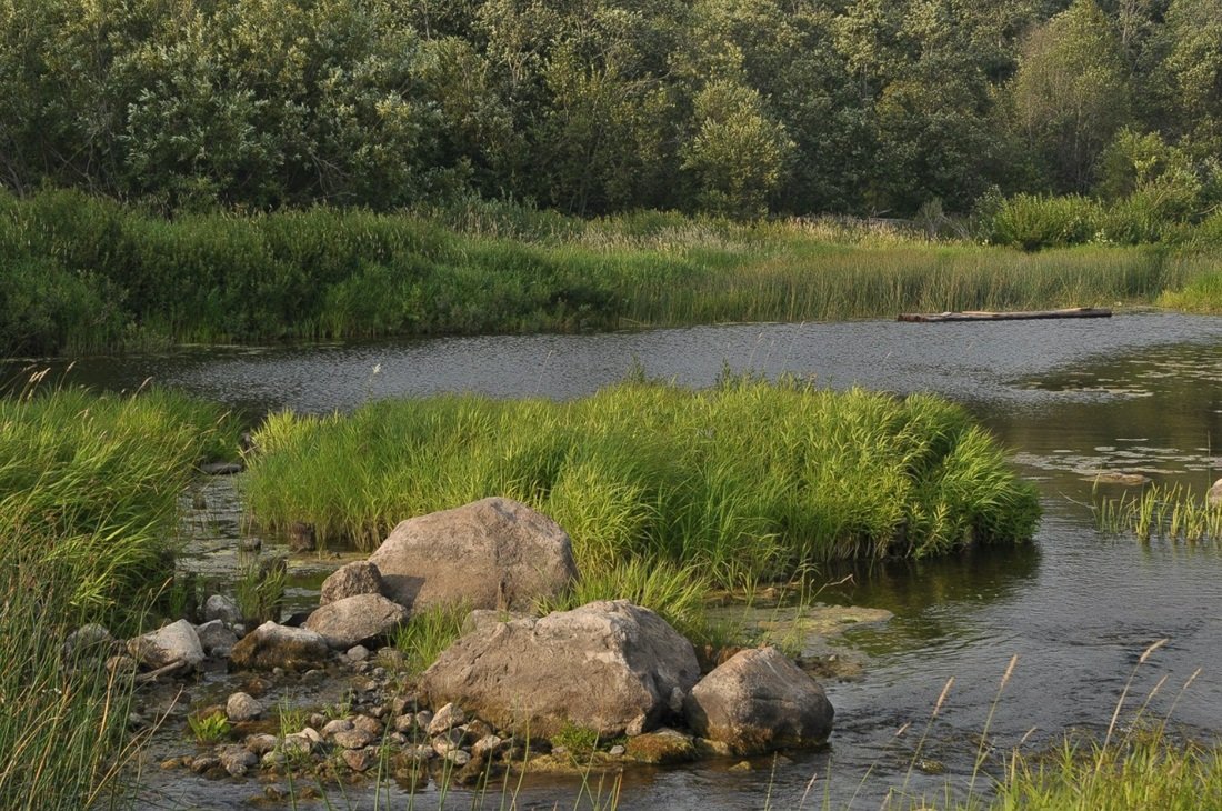 Про минувшее лето