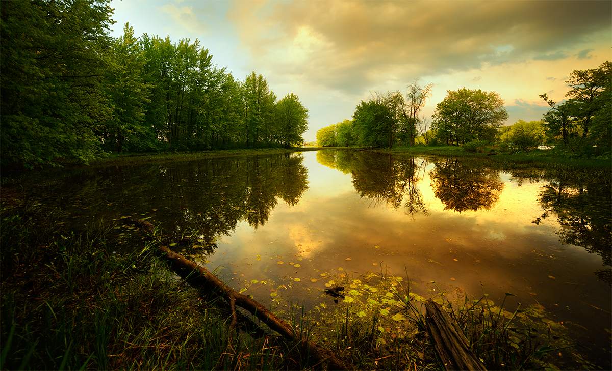 ....в нашу гавань не заходят корабли