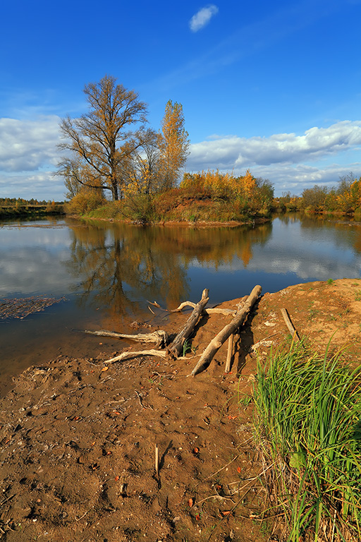 Краски осени