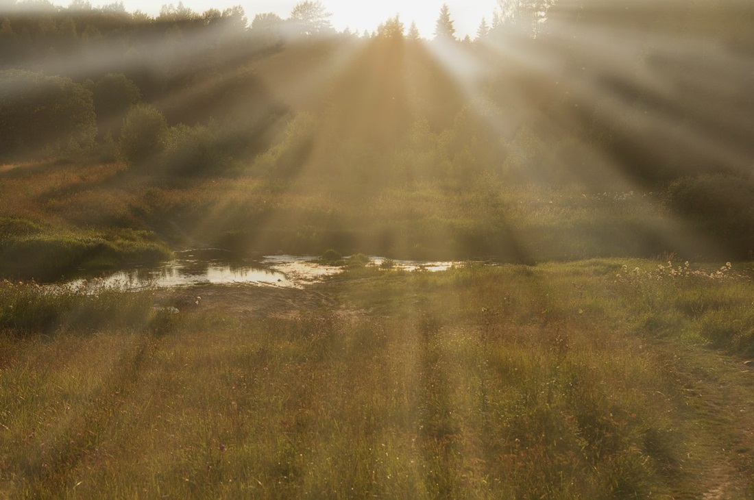 Зарисовка: Вечер августа