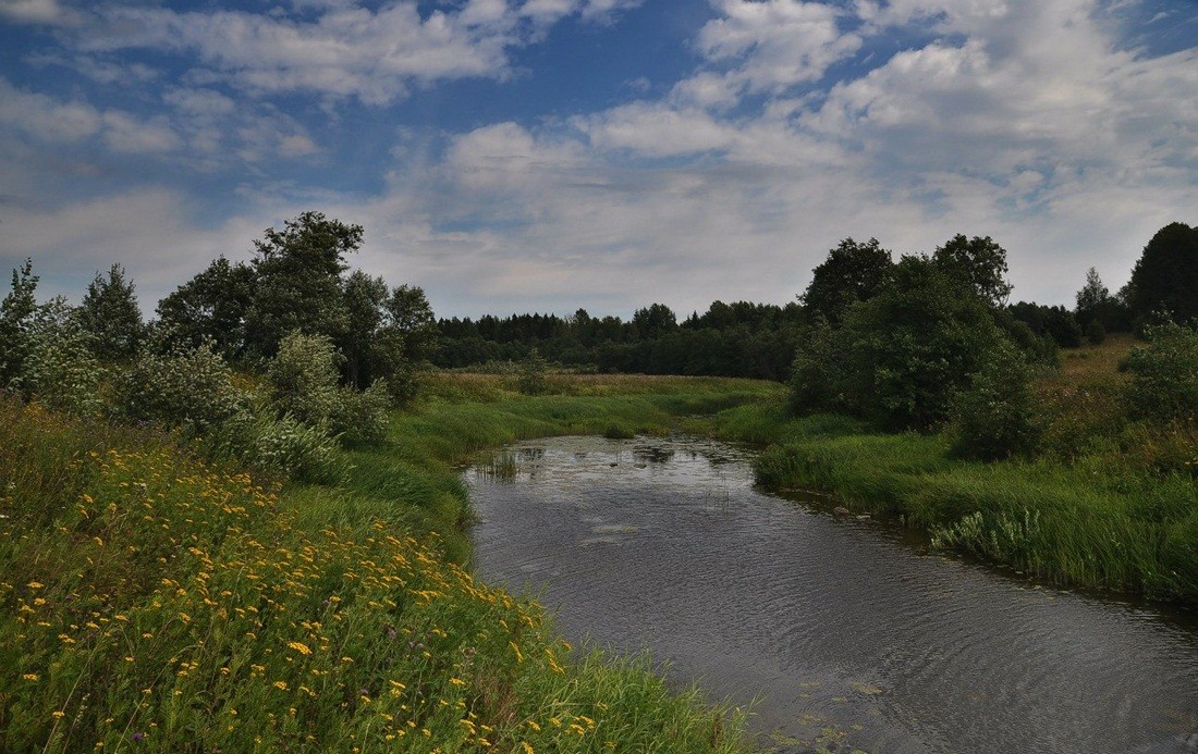 Простая зарисовка