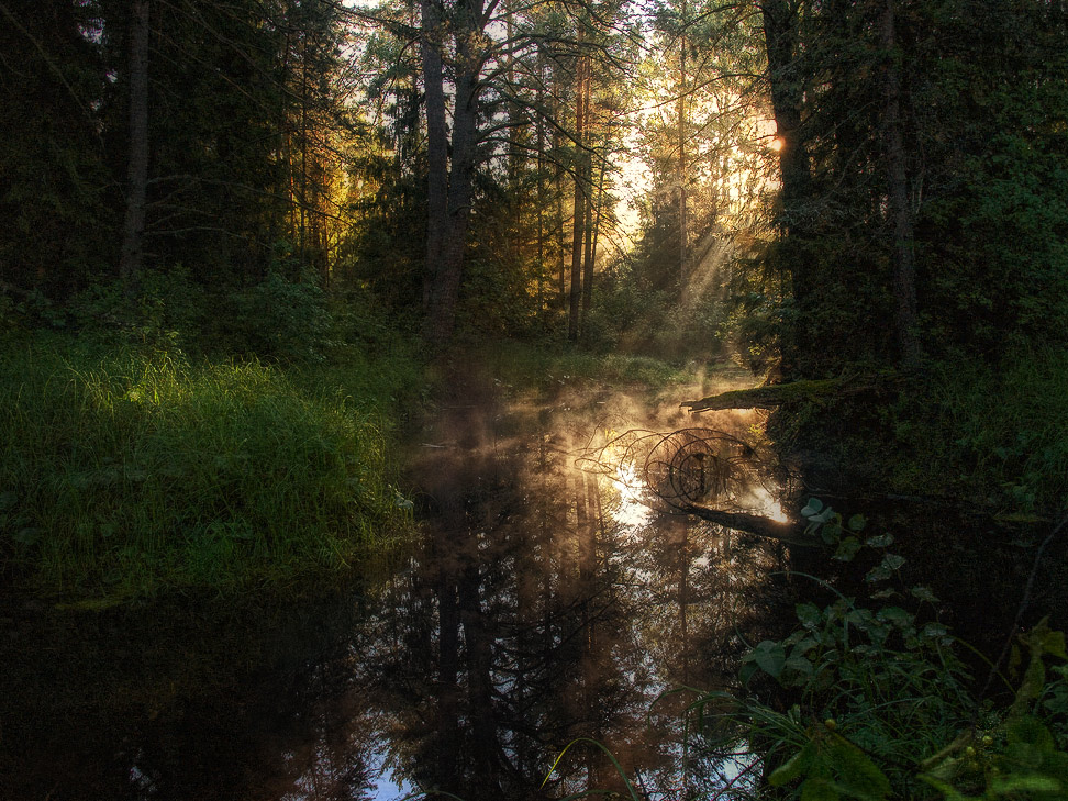 Сказочное утро