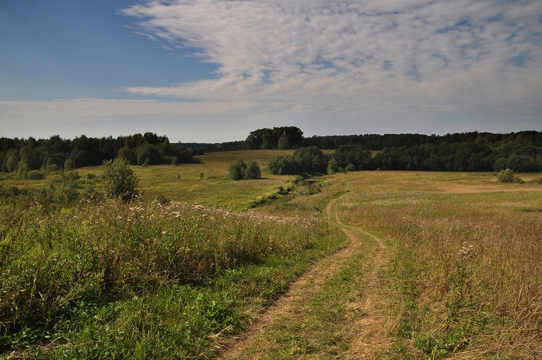 Дорога в деревню Беседы