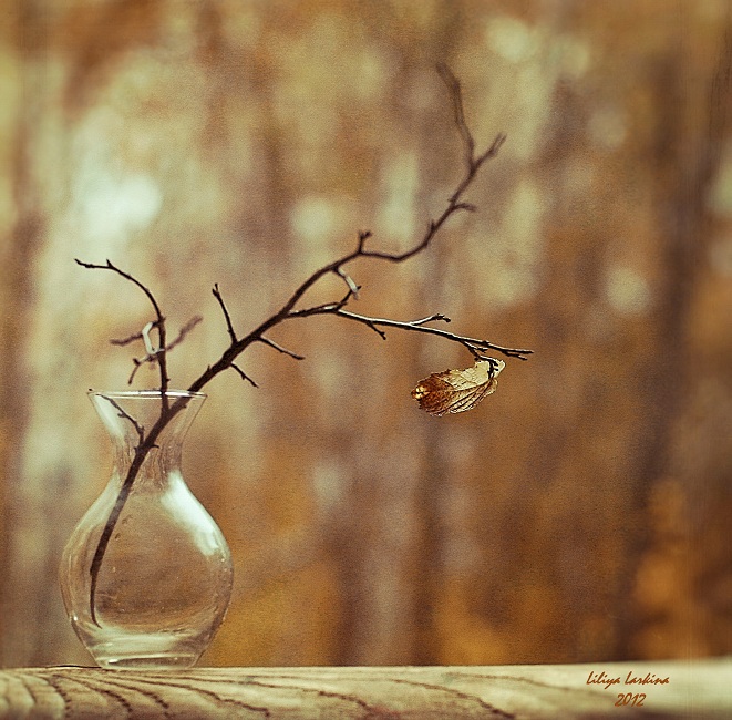 А лист осенний на ветру....