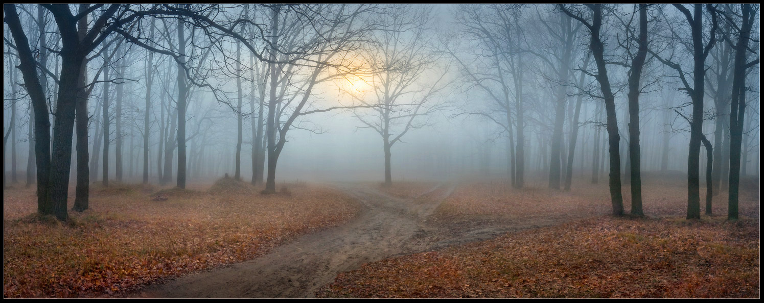 На осеннем распутье...