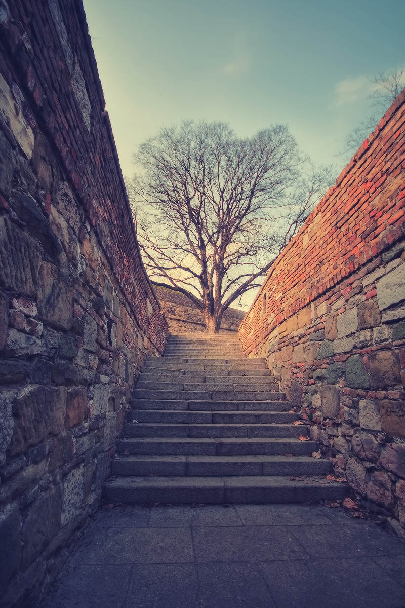 |   Ступени   |