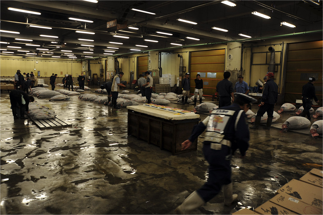 Утро в Цукидзи