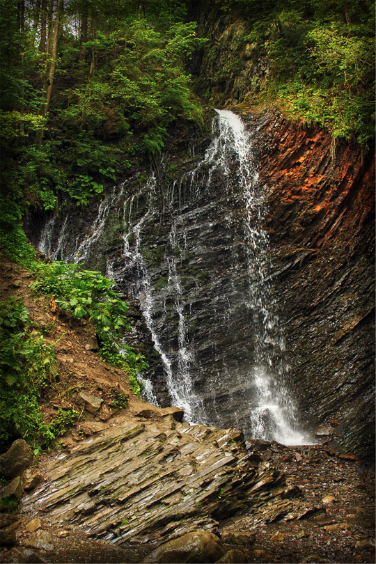 Женецкий гук