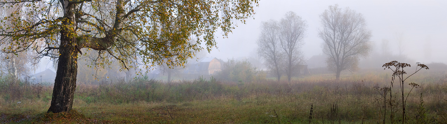 Осеннее утро
