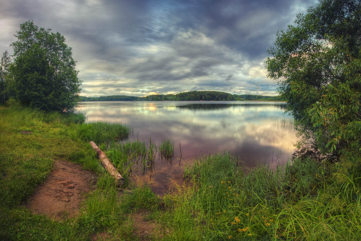 |   Вечерняя вяча   |