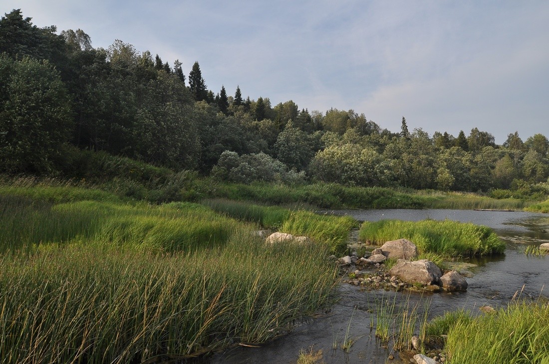 Вниз по течению