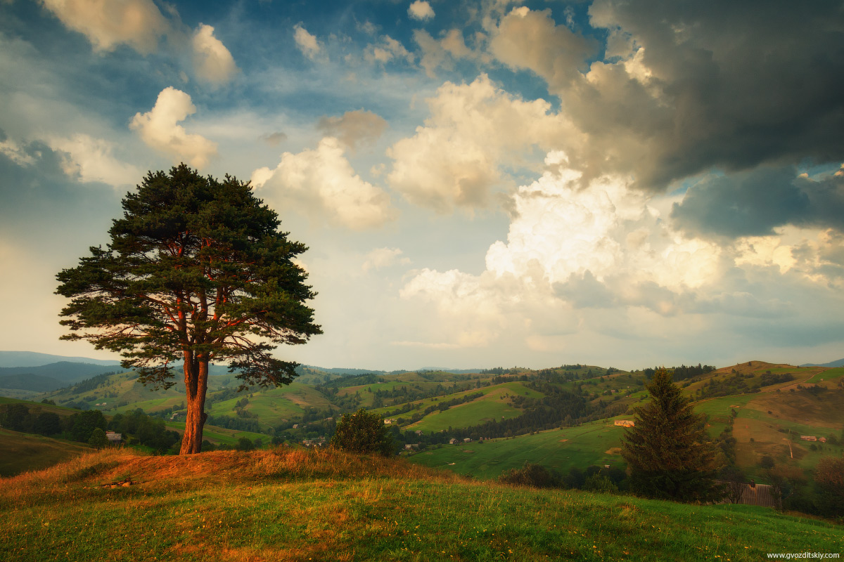 Предчувствие грозы