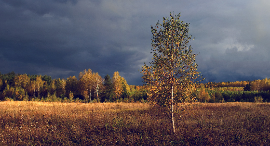 В ПОСЛЕДНИХ ЛУЧАХ
