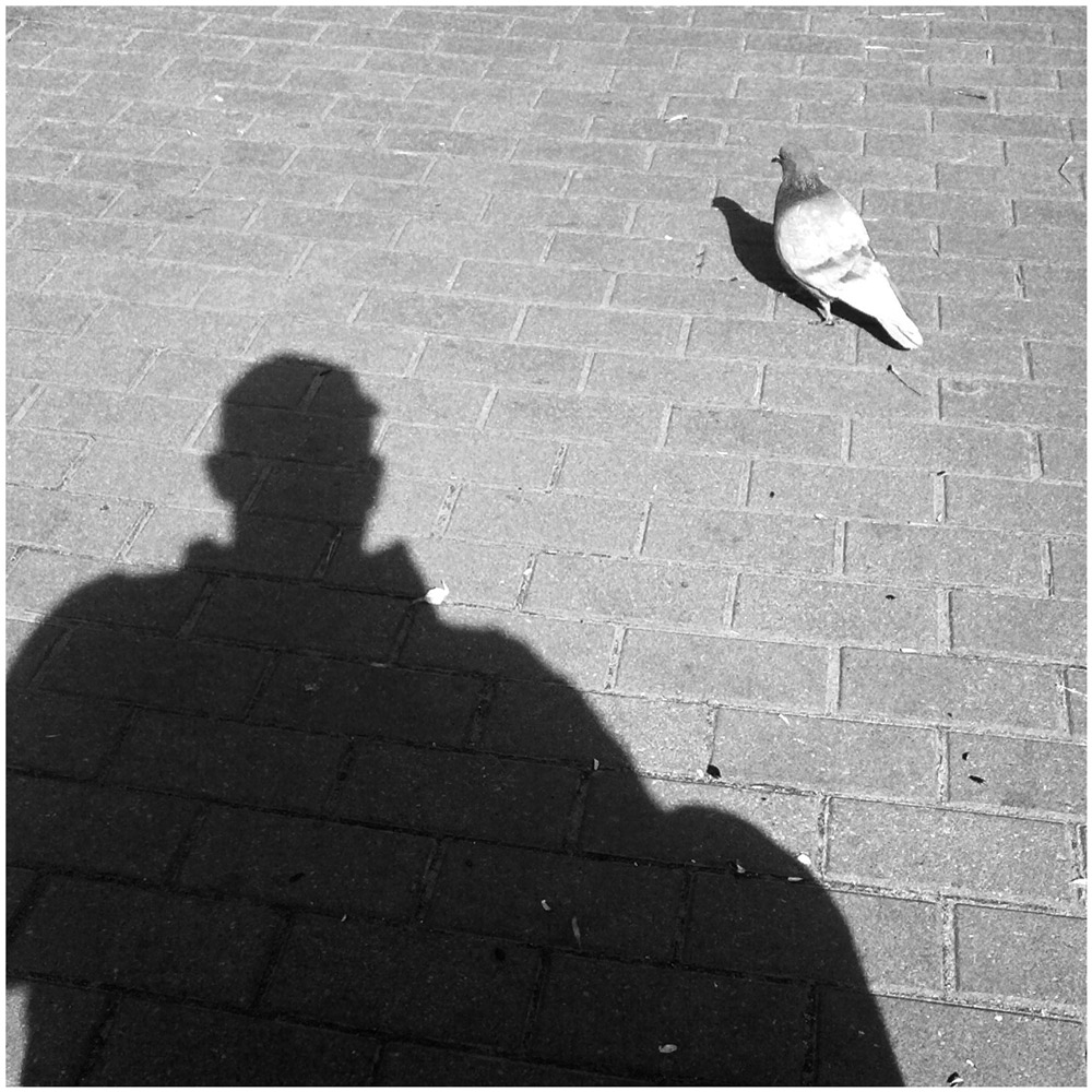 Наблюдатели #umbra-flash