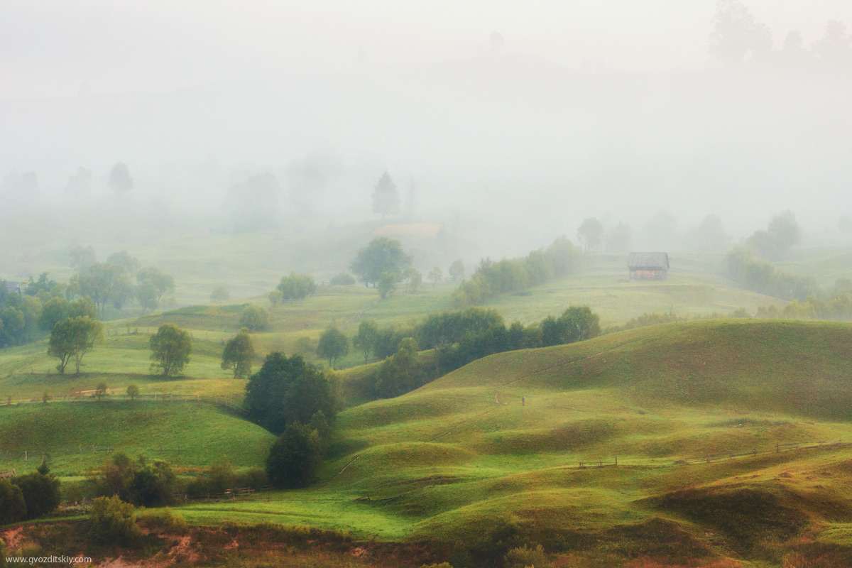 Утренний туман