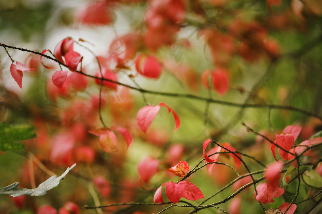 Открытки Сентября