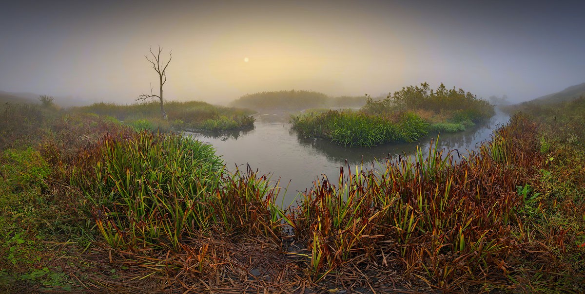 Сонное солнце Над горизонтом встает. Раннее утро...