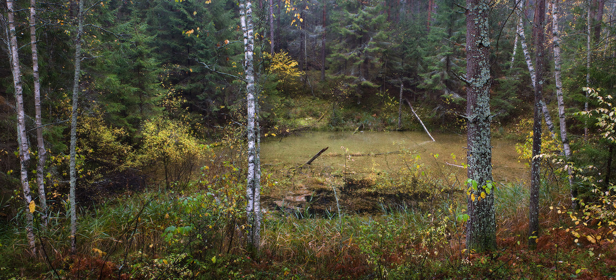 Провальная осенью