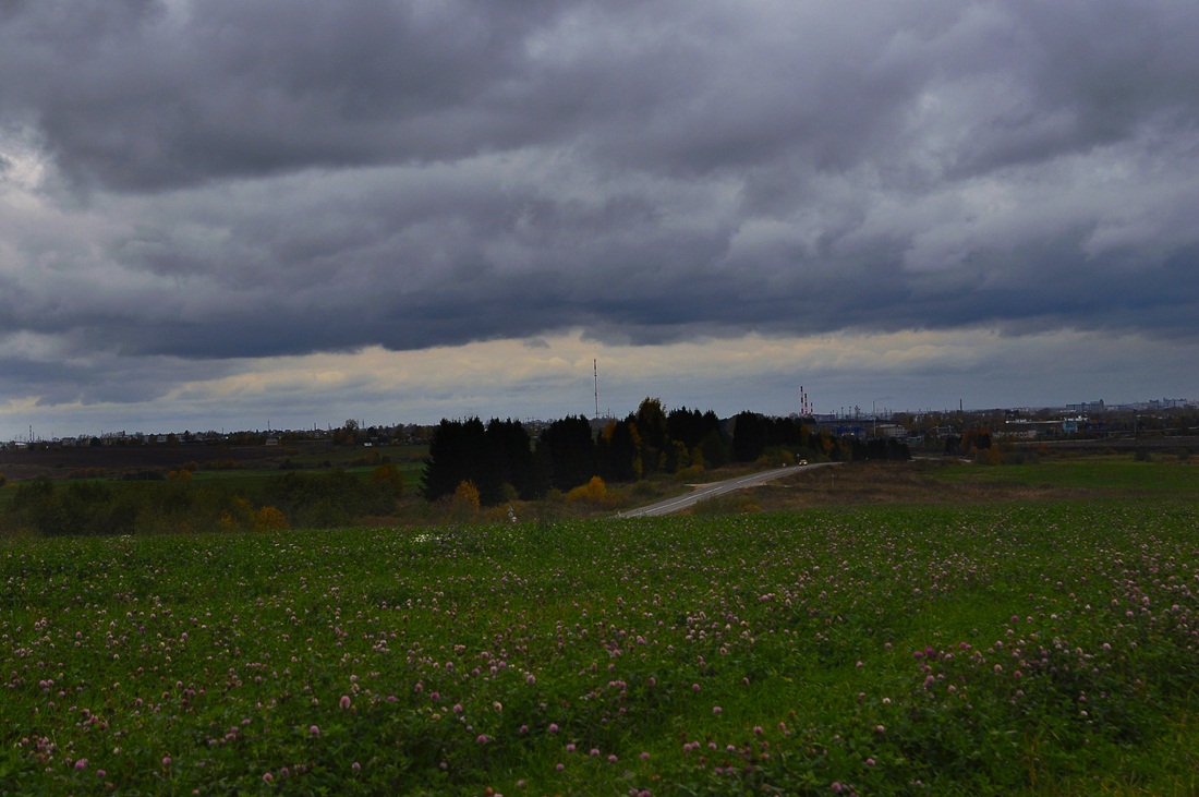 По дороге в Вологду