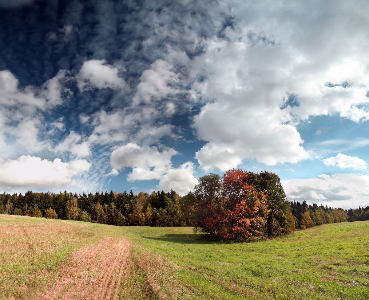 осенняя палитра