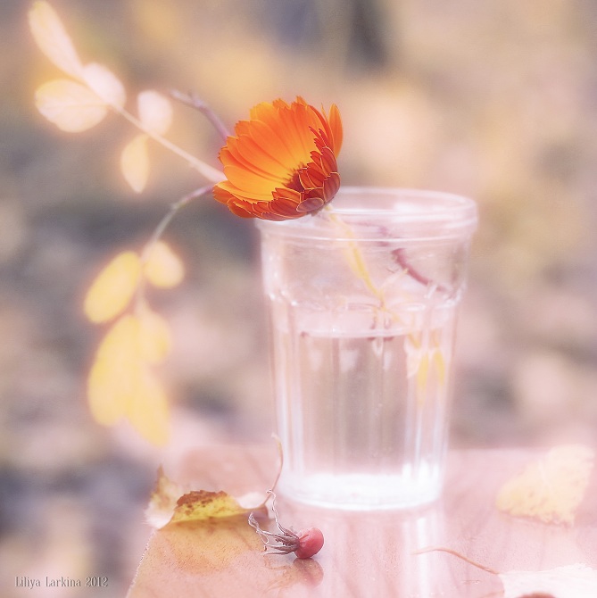 Осень нашептала