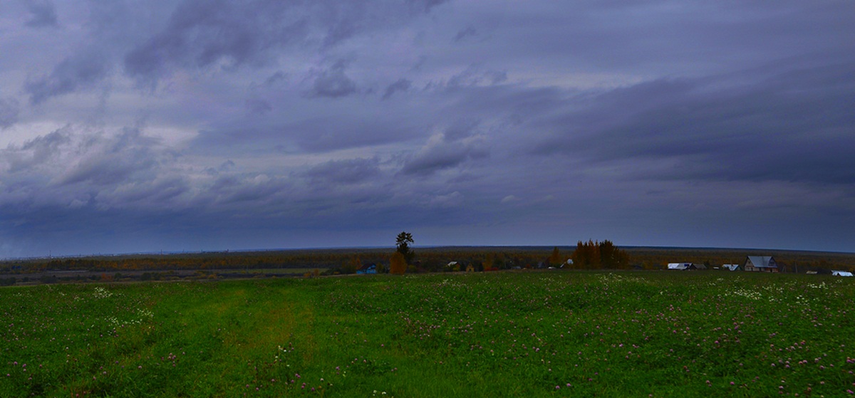 На Огарковских высотах