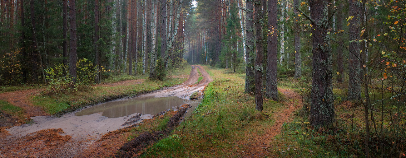 По дороге не пройдешь