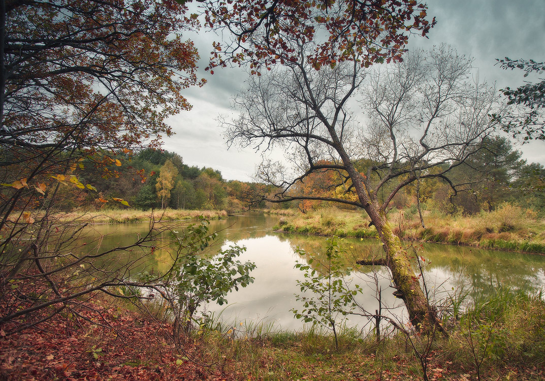 Вилия в октябре