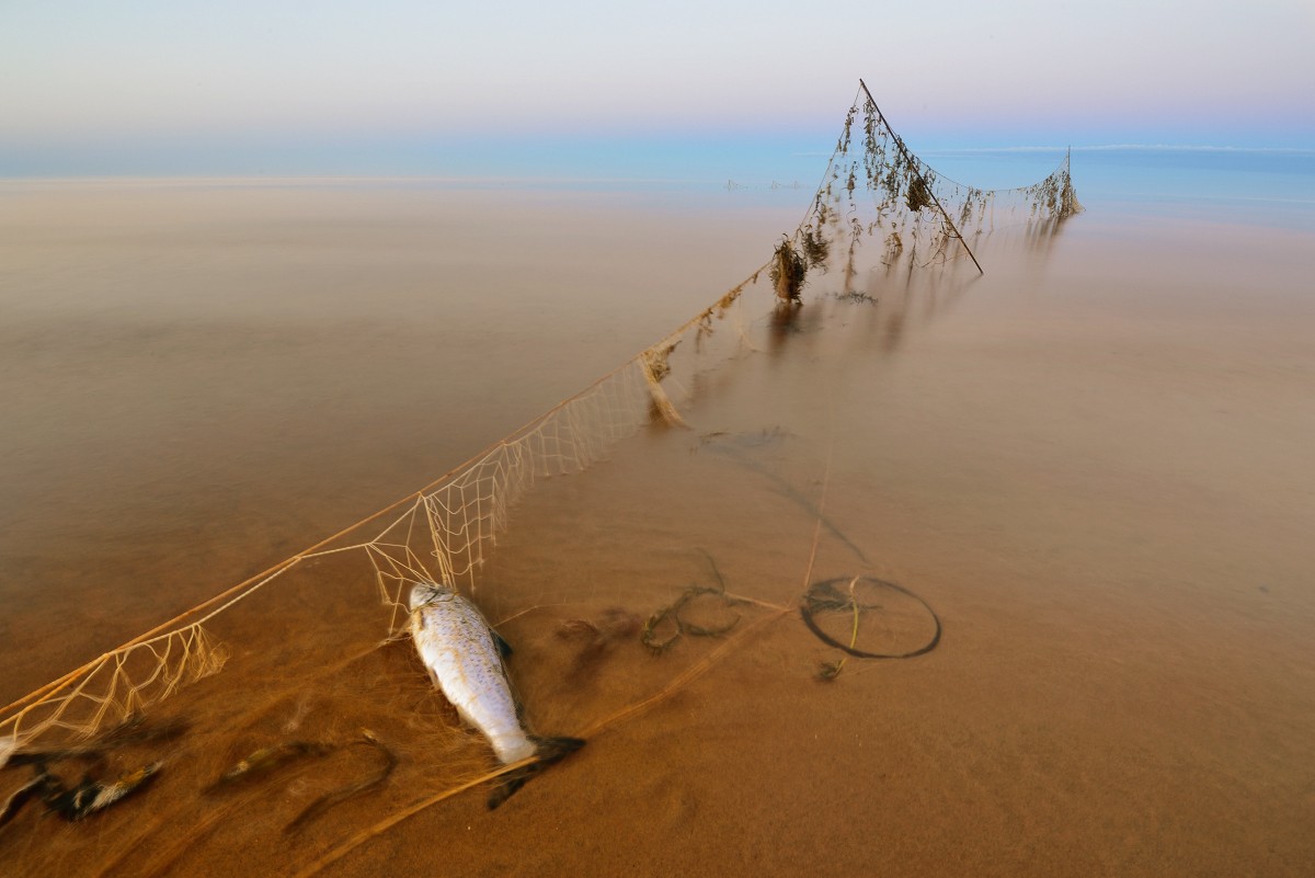 Последний отлив