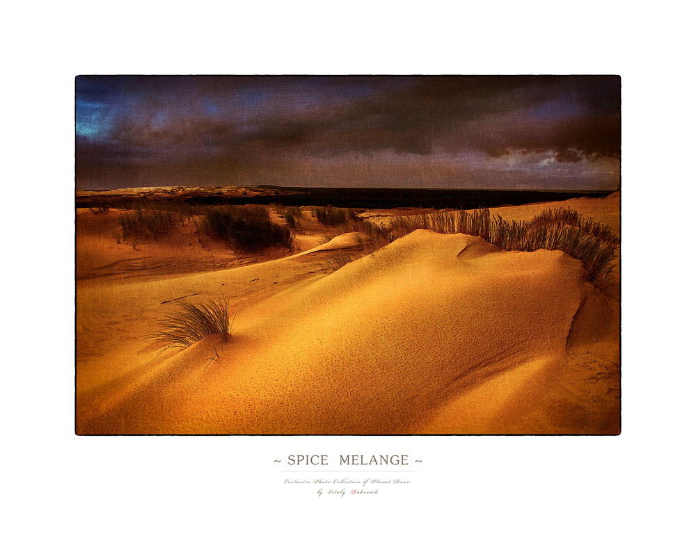 ~ S P I C E   M E L A N G E ~