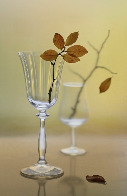 Опадают листья цвета янтаря.....