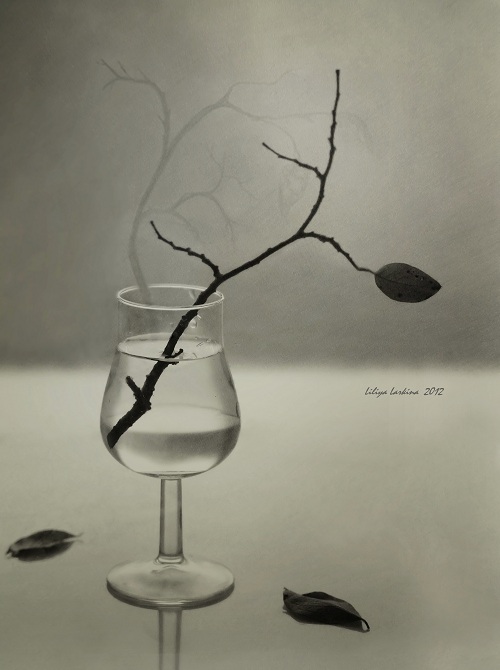 Останься хоть тенью...