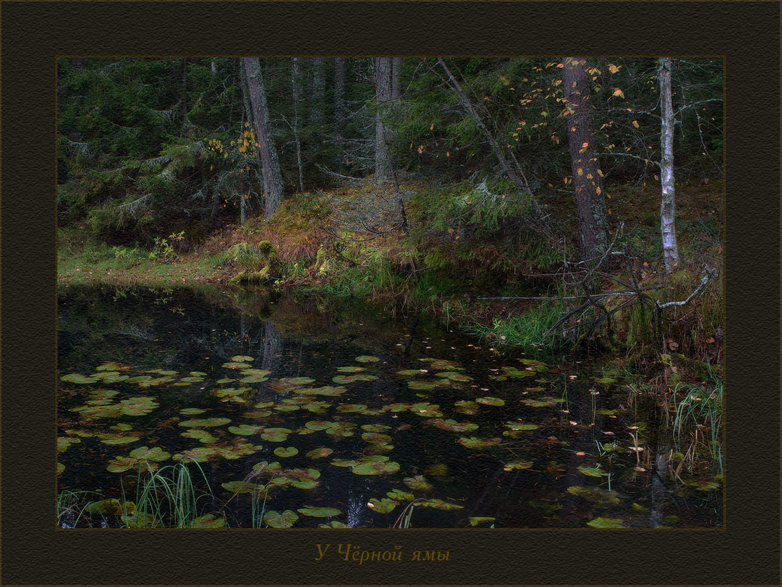 У Чёрной ямы