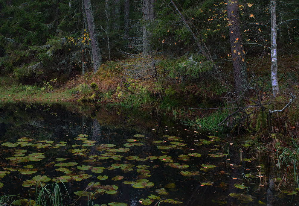 У Черной ямы