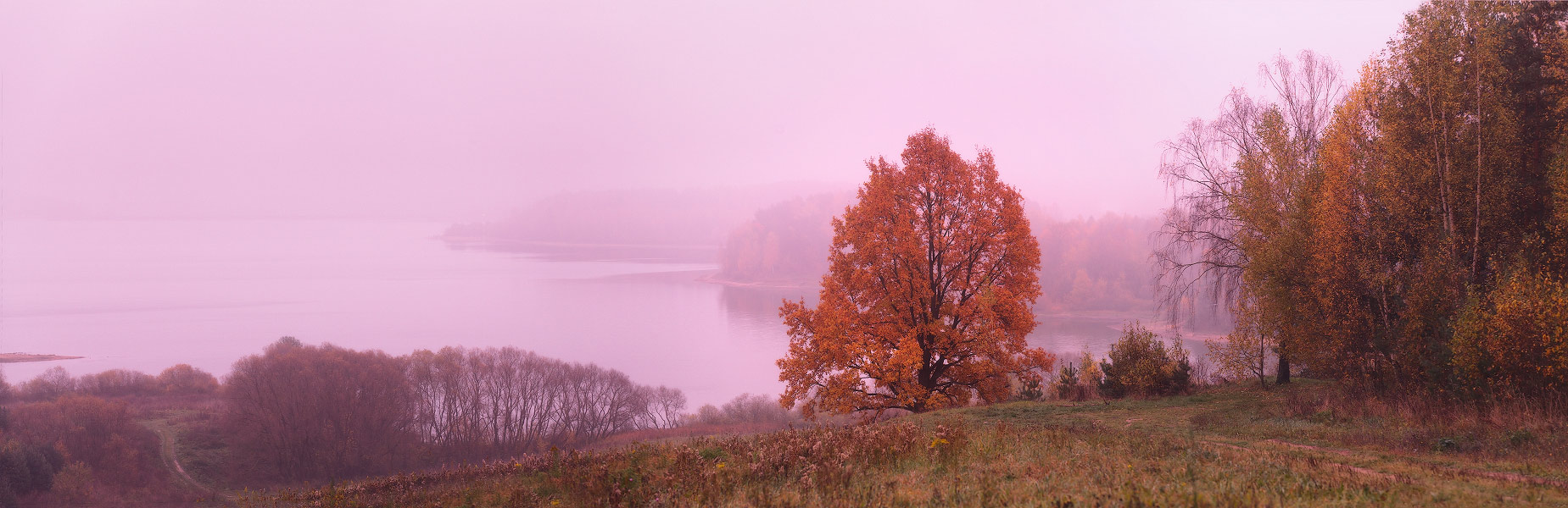 Октябрьское утро на Дубровском