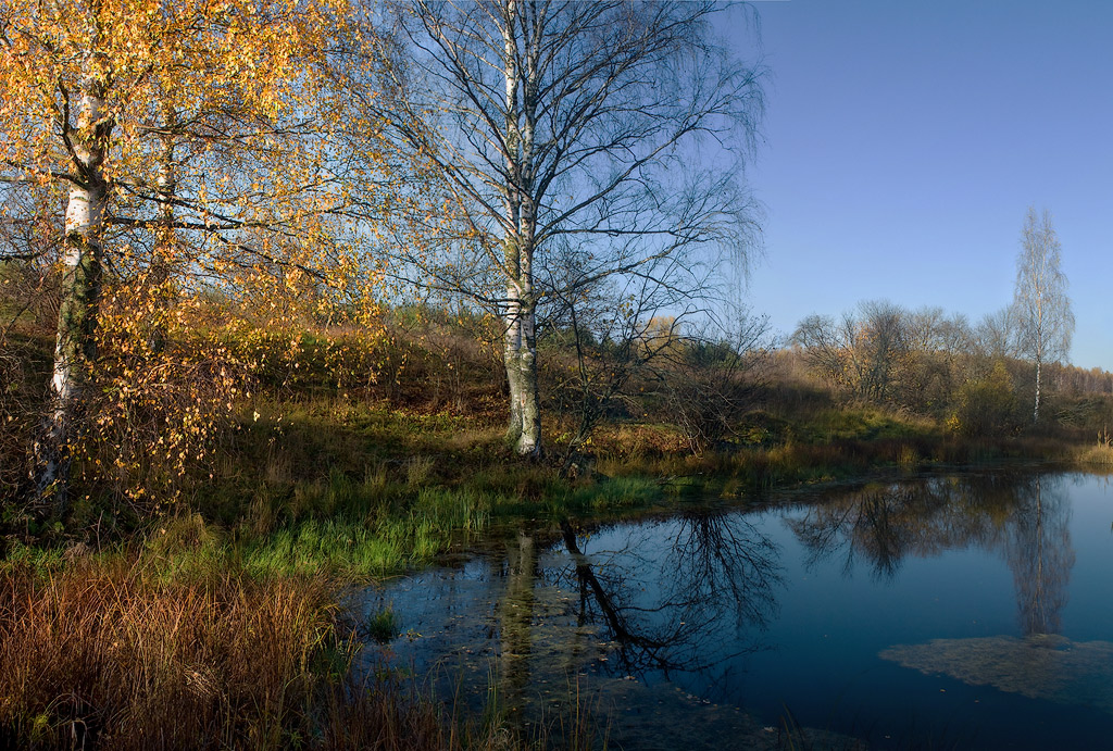 Еще не всю..