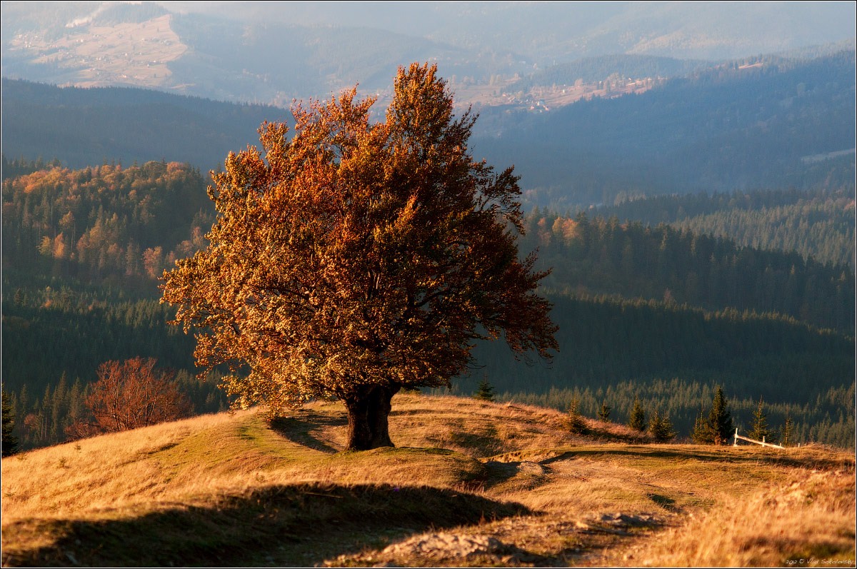 / Про золотую осень ... /