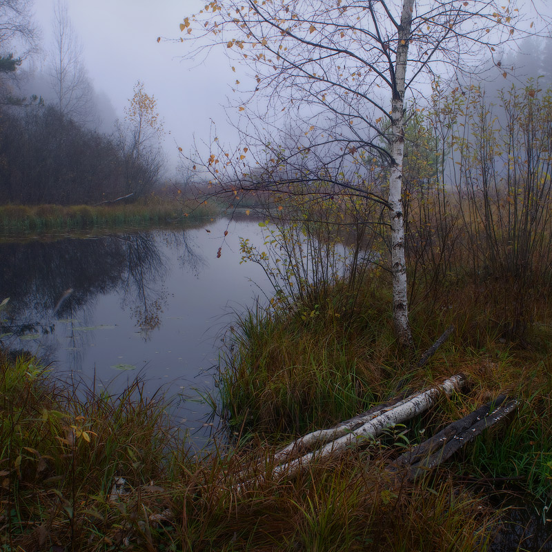 Осенний вечер