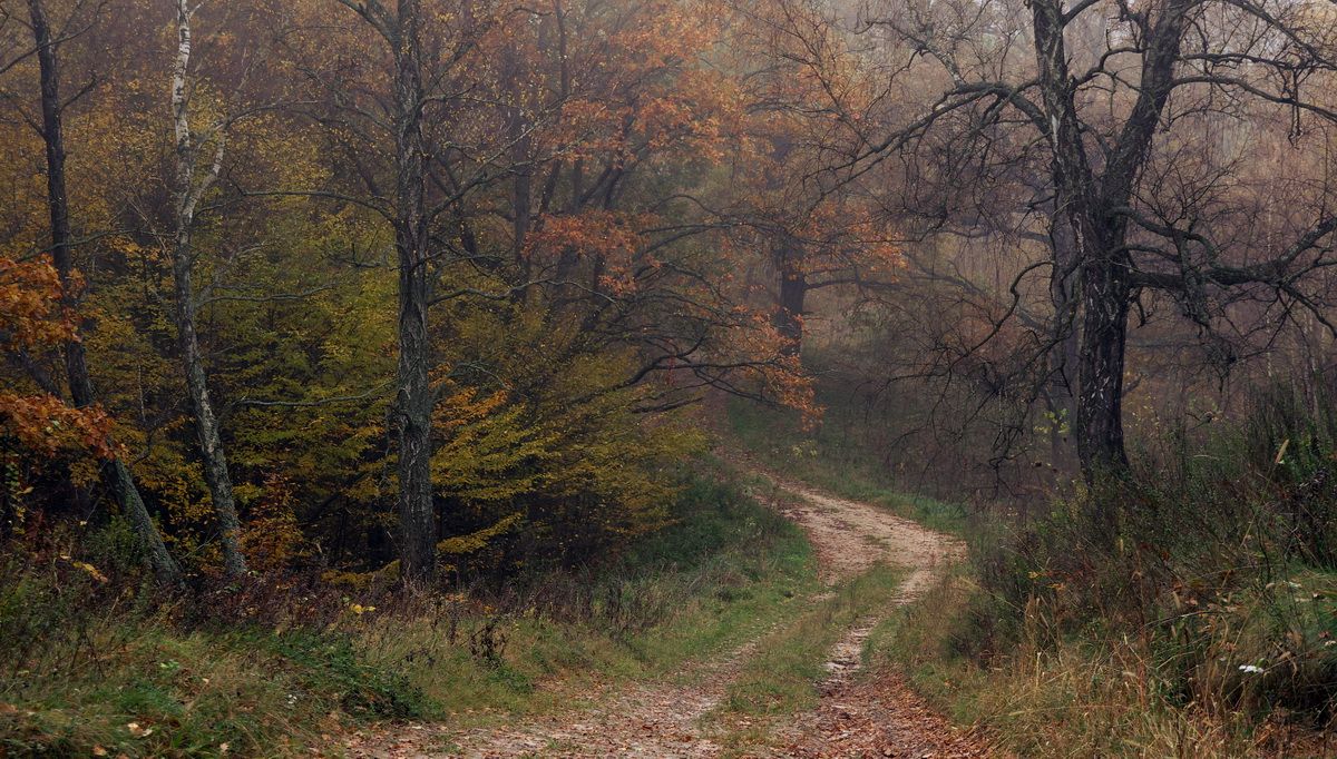 осенними дорогами 2