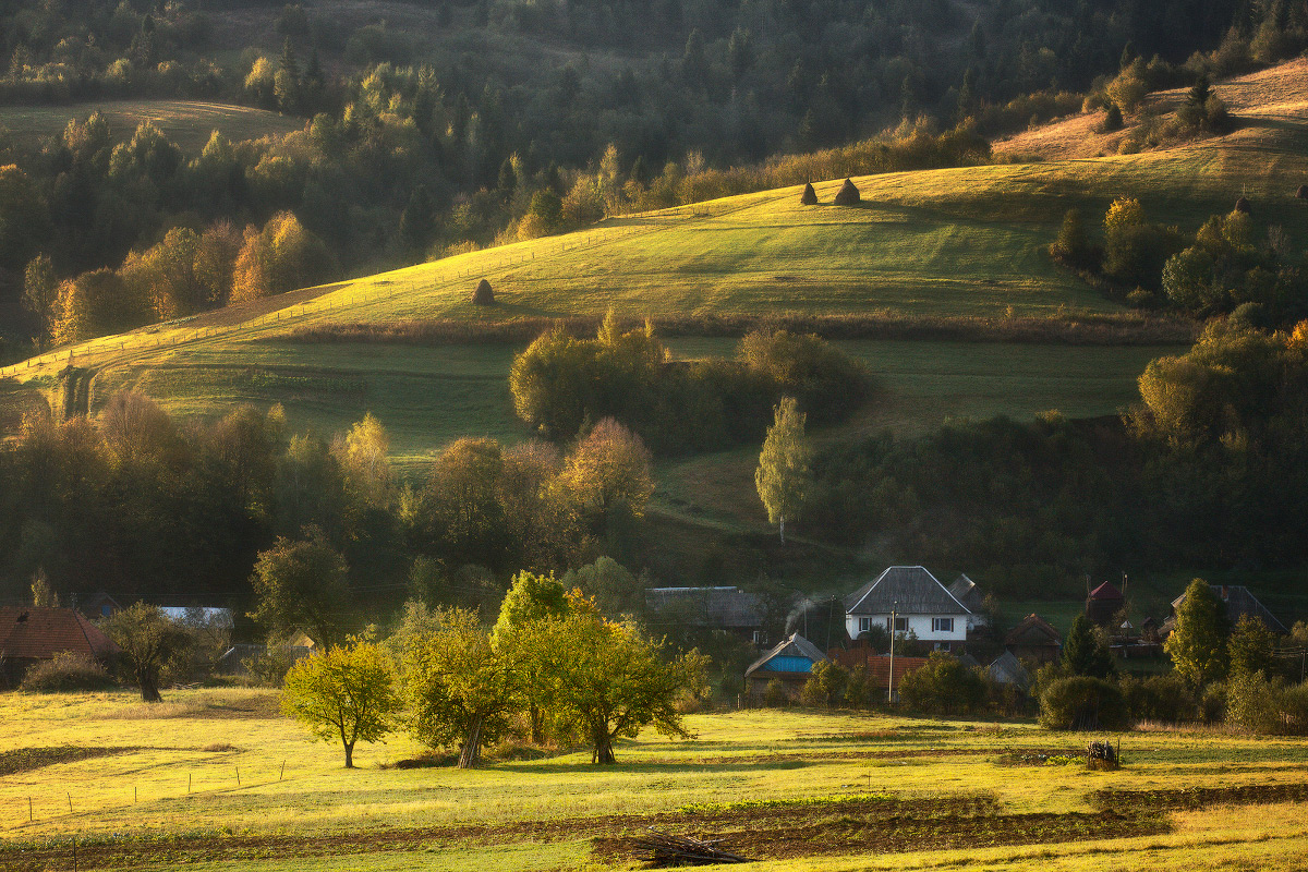 .......Свежесть осеннего утра......