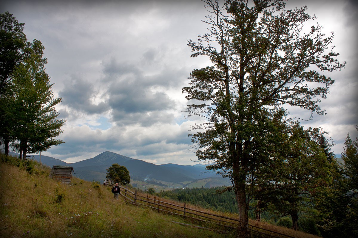 Одинокий путник