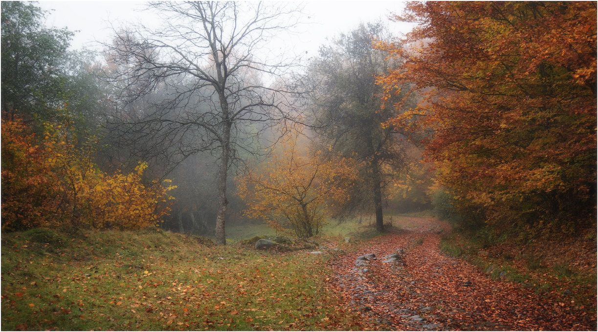 Осеннее настроение...