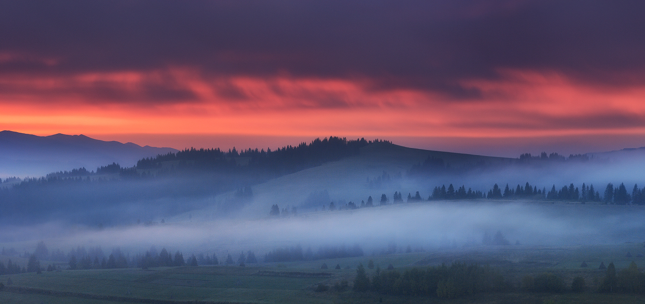 ........История одного утра.......