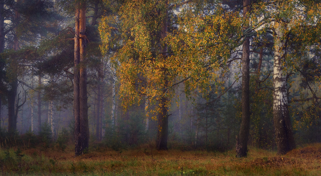 Вспоминая осень...