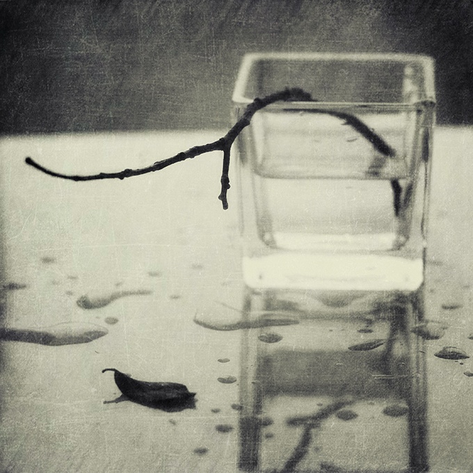 Черно-белый ноябрь....