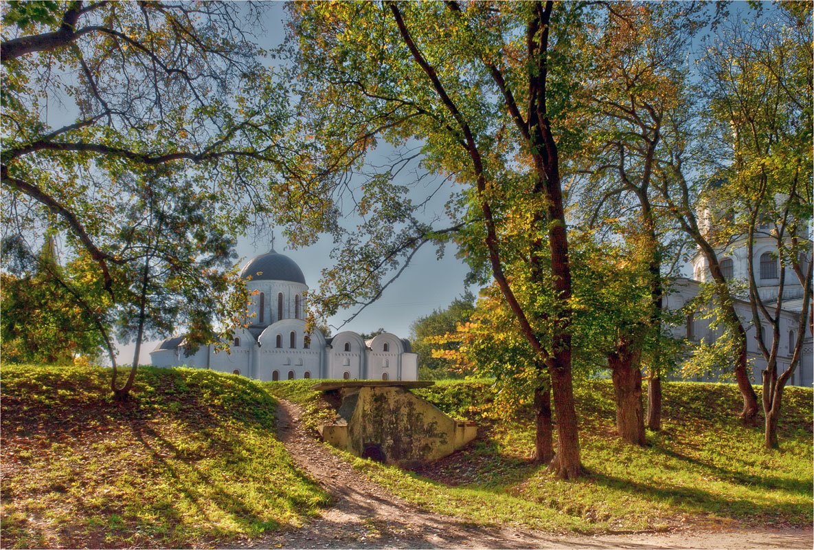В тени деревьев