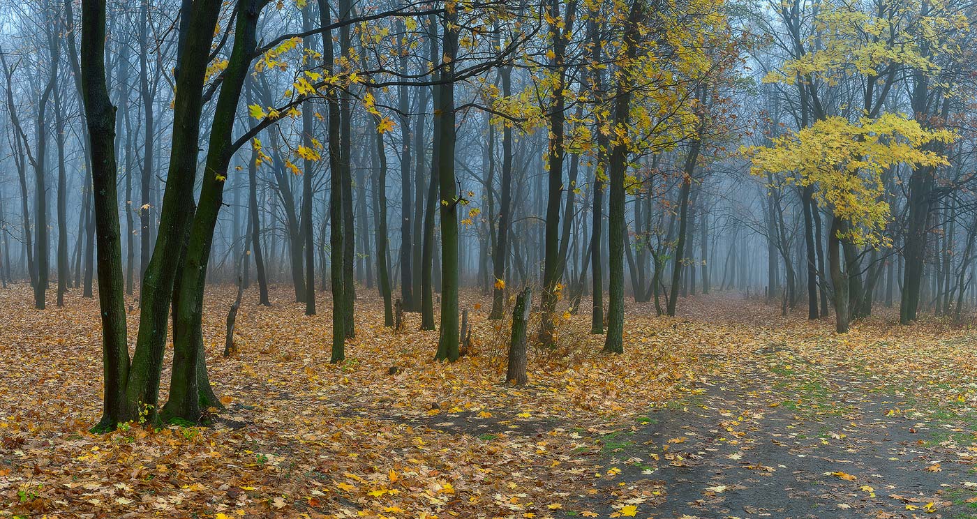 Проходит осень