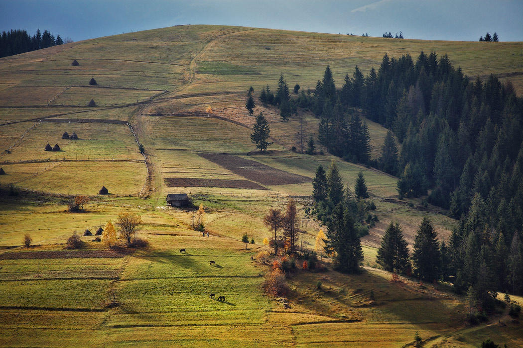 Карпаты. Начало ноября.