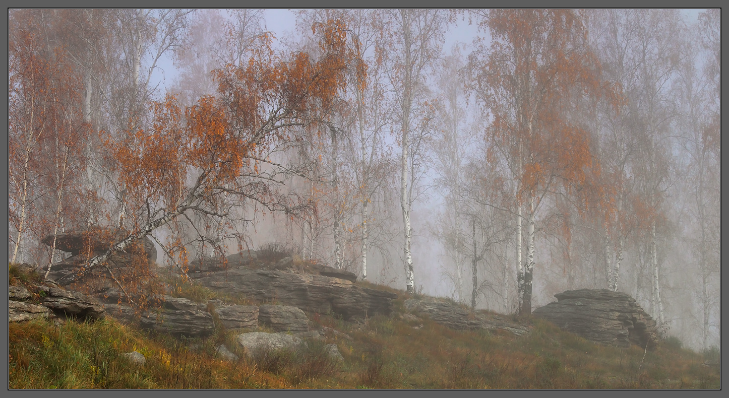 Октябрьские туманы