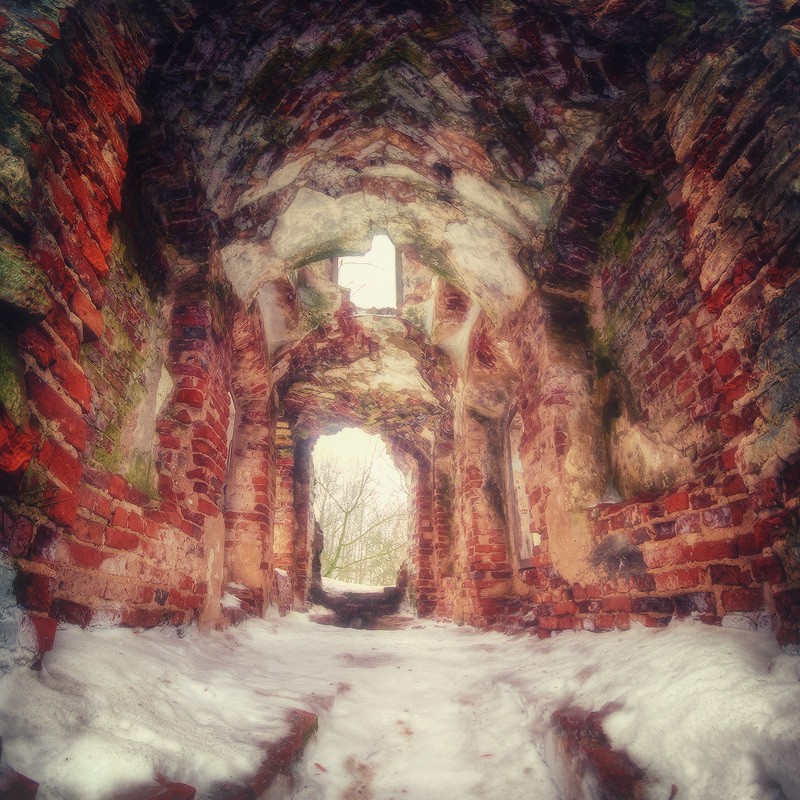 |   RUINS   |